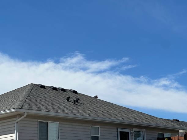 Best Asphalt Shingles Roofing  in Erie, PA